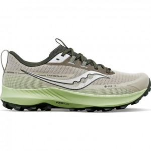 Men's Saucony Peregrine 13 GTX Running Shoes Grey / Mint | CANADA WUVRMYS