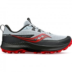 Men's Saucony Peregrine 13 Trail Running Shoes White / Black | CANADA OBHQRLA