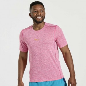 Men's Saucony Stopwatch Short Sleeve T-Shirt Pink | CANADA KTZPOSW