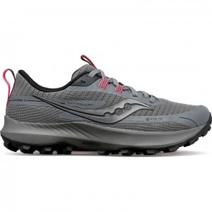 Women's Saucony Peregrine 13 GTX Trail Running Shoes Grey | CANADA XHTQOBA