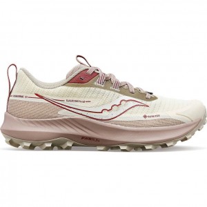 Women's Saucony Peregrine 13 GTX Trail Running Shoes White | CANADA VHBAZCF