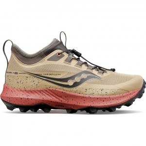 Women's Saucony Peregrine 13 ST Trail Running Shoes Brown | CANADA VERMPOT