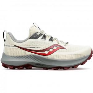 Women's Saucony Peregrine 13 Trail Running Shoes White | CANADA BLKXICE