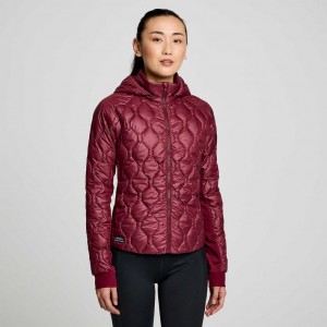 Women's Saucony Solstice Oysterpuff Jacket Burgundy | CANADA JDTRQBM