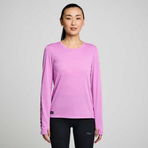 Women's Saucony Stopwatch Graphic Long Sleeve T-Shirt Purple | CANADA UDMOBHC