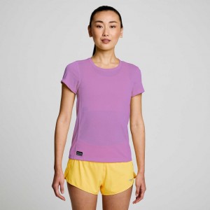 Women's Saucony Stopwatch Short Sleeve T-Shirt Purple | CANADA CQAJXMR