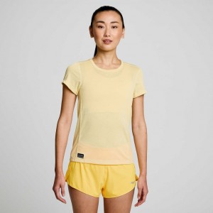 Women's Saucony Stopwatch Short Sleeve T-Shirt Yellow | CANADA ZYFPCOI