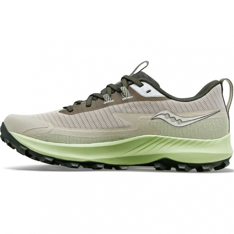 Men's Saucony Peregrine 13 GTX Running Shoes Grey / Mint | CANADA WUVRMYS