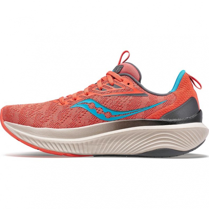 Women's Saucony Echelon 9 Running Shoes Coral | CANADA VGKYHFX