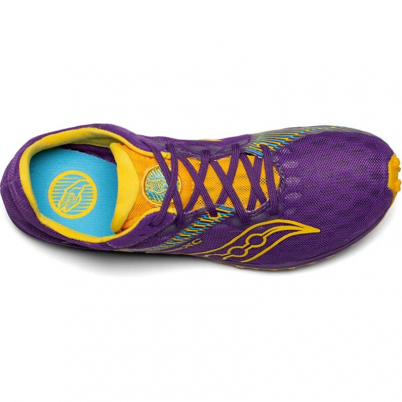 Women's Saucony Kilkenny XC9 Spikes Purple | CANADA RXIWQYV